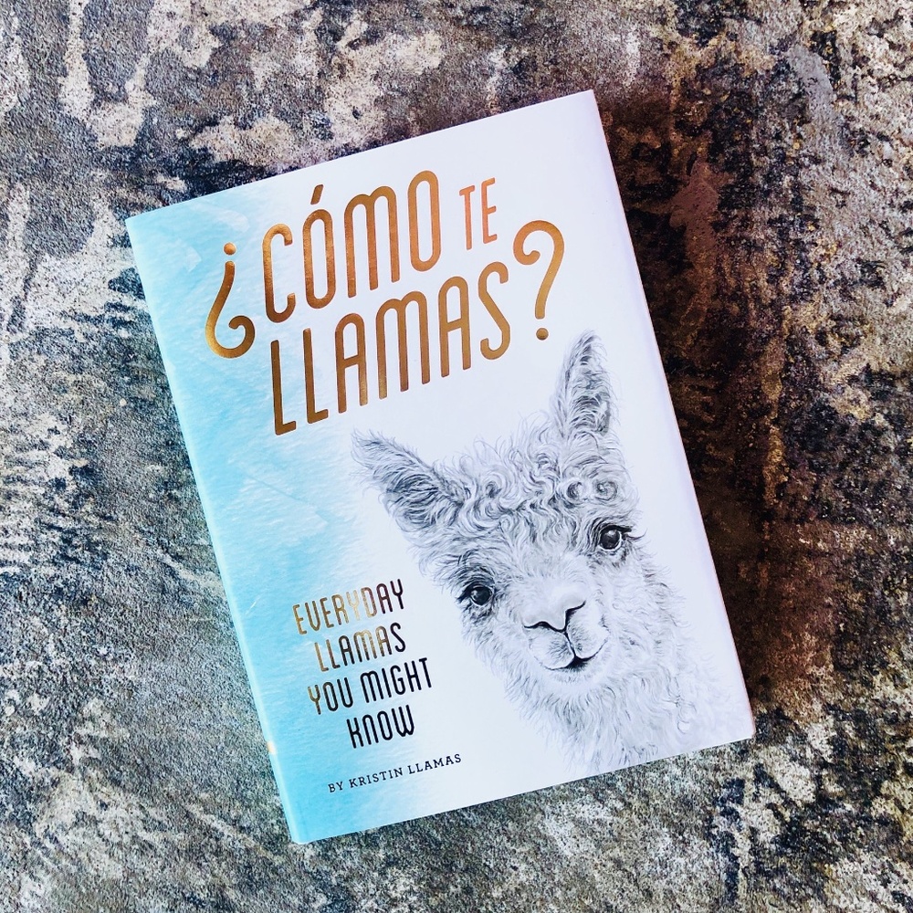 Illustrated Llama Book Fun Animal Lover Gift Idea